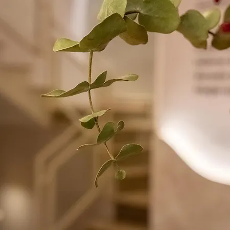 Casa Ollerias - Anterior Ronda Гостьовий будинок